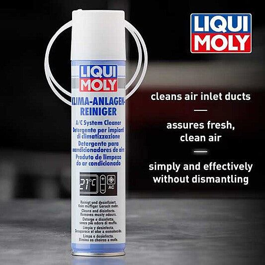 A/C System Cleaner (Spray)