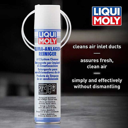 A/C System Cleaner (Spray)