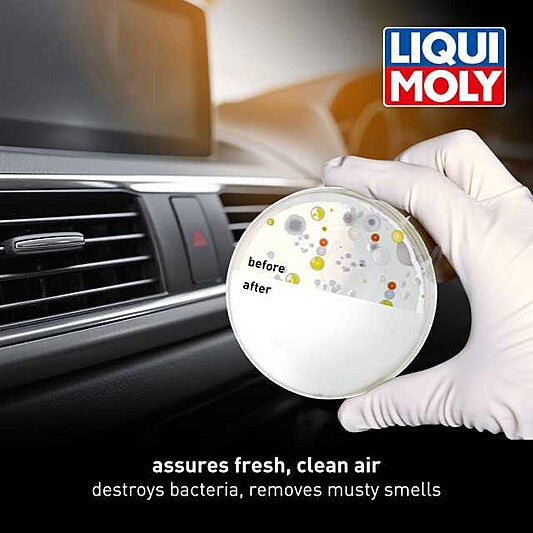 A/C System Cleaner (Spray)